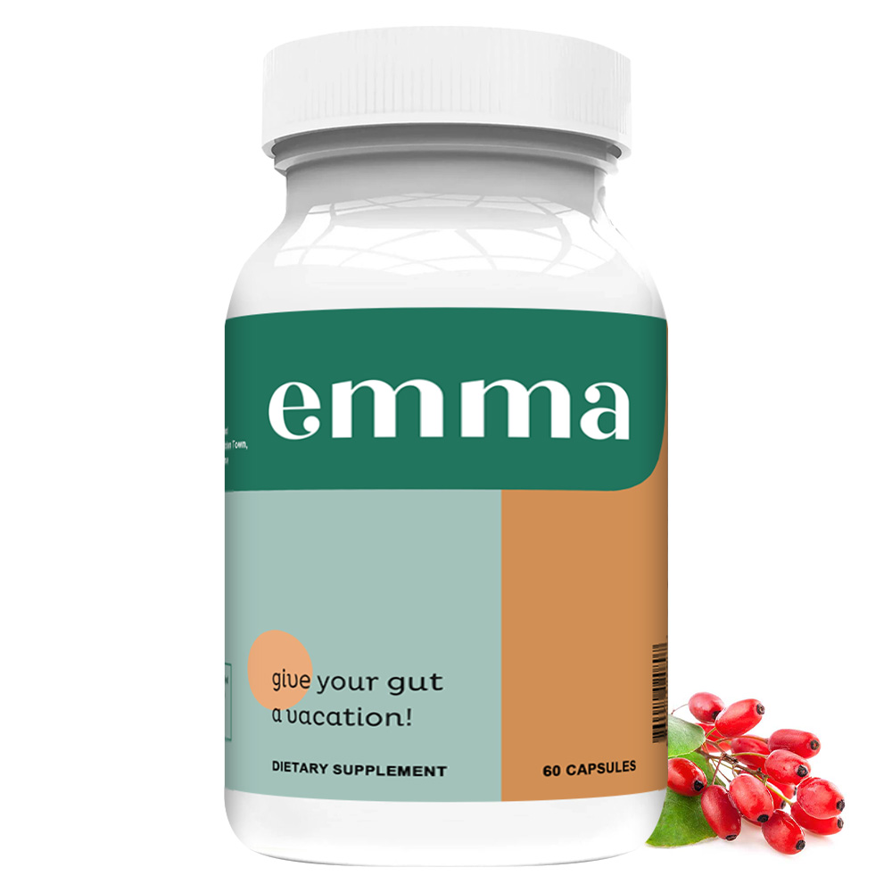 Gut Health Supplement - Suppor - Wellness Health Nutrition บทวิจารณ์และราคา