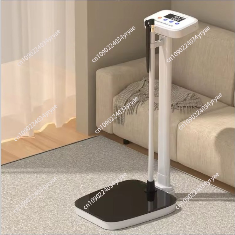 Smart body scale connection AP - Digital Body Weight Scale บทวิจารณ์และราคา