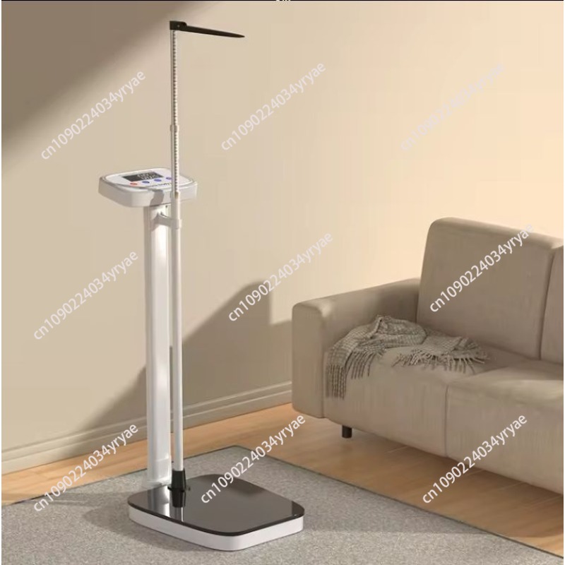 Smart body scale connection AP - Digital Body Weight Scale บทวิจารณ์และราคา
