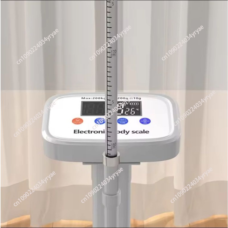Smart body scale connection AP - Digital Body Weight Scale บทวิจารณ์และราคา