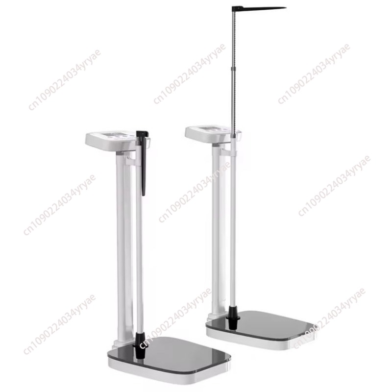 Smart body scale connection AP - Digital Body Weight Scale บทวิจารณ์และราคา