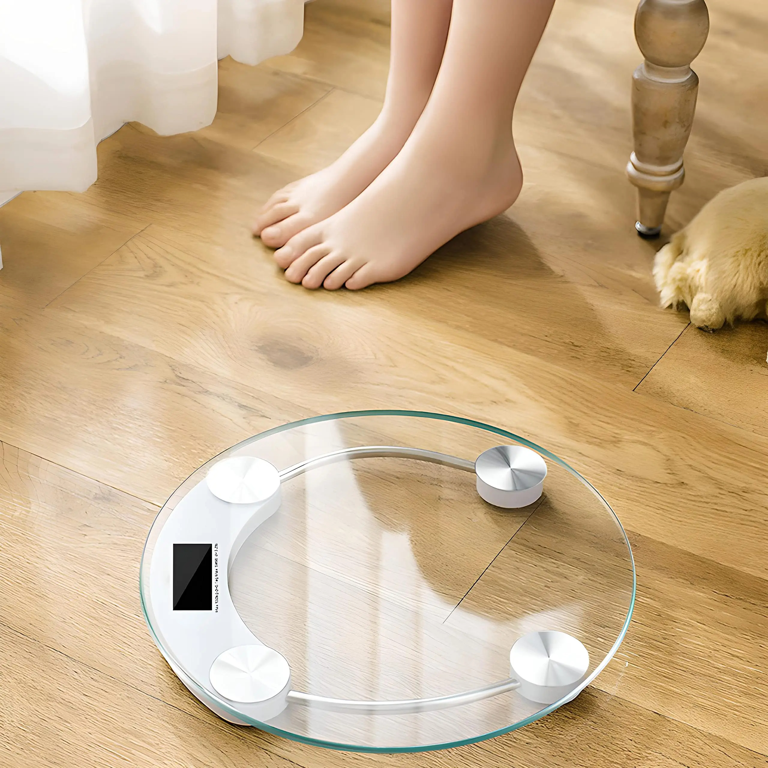 Fashion Round Weight Scale Ele - Digital Body Weight Scale บทวิจารณ์และราคา