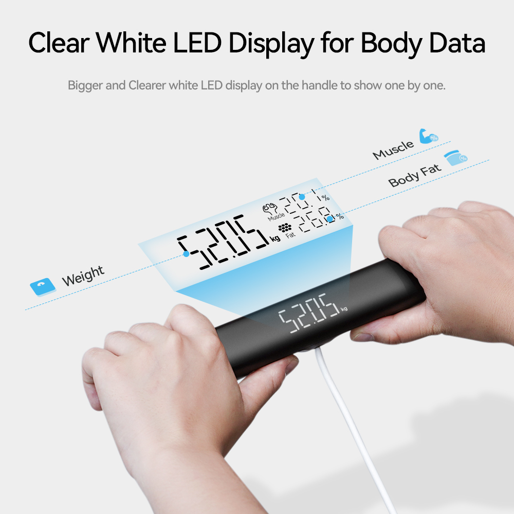 Smart Scale for Body Weight, F - Digital Body Weight Scale บทวิจารณ์และราคา