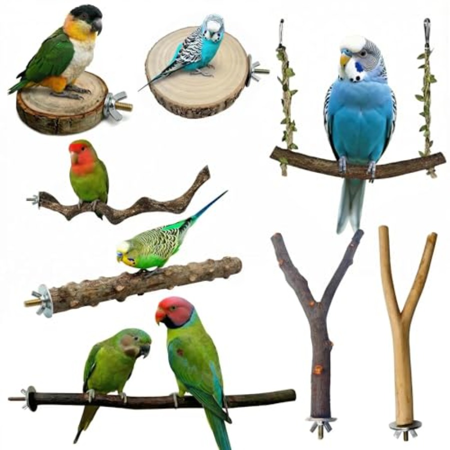 8PCS natural wood bird perches - Health & Wellness Stores บทวิจารณ์และราคา