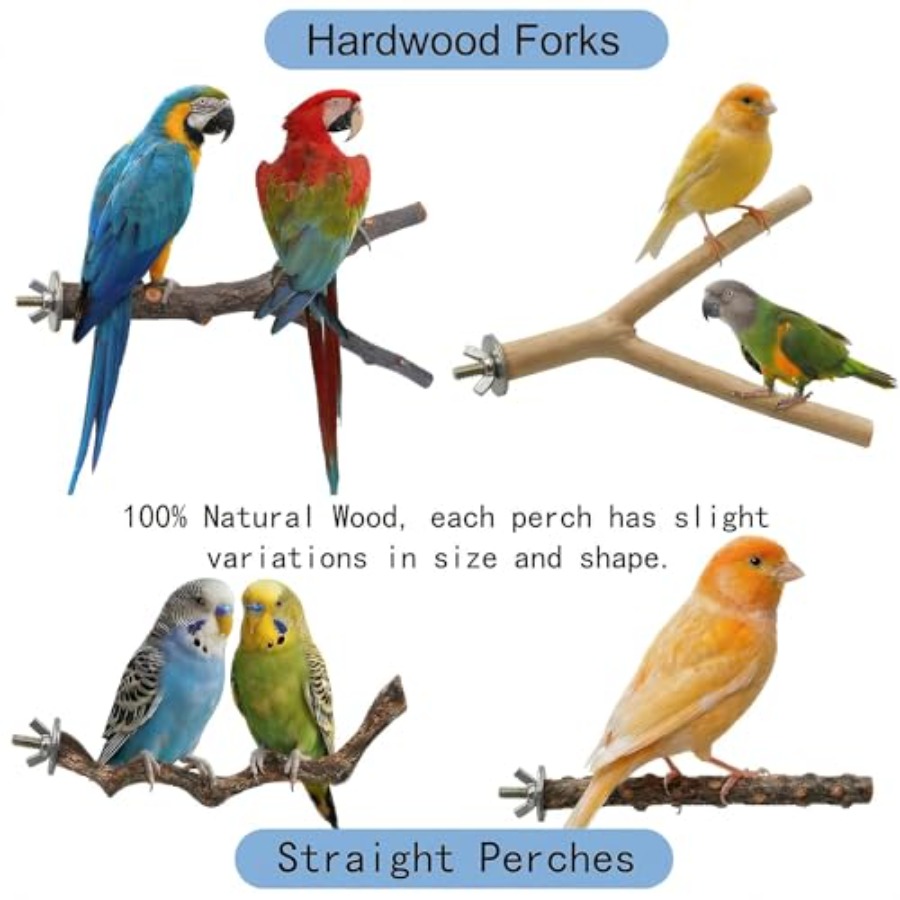 8PCS natural wood bird perches - Health & Wellness Stores บทวิจารณ์และราคา