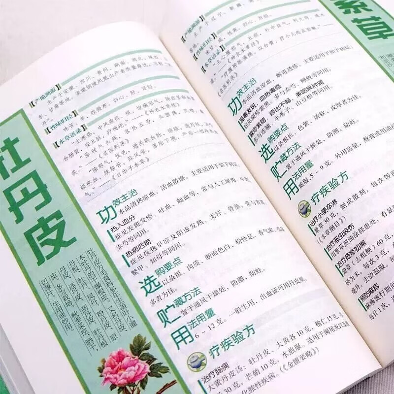 The Complete Guide To Family T - Wellness Health Nutrition บทวิจารณ์และราคา