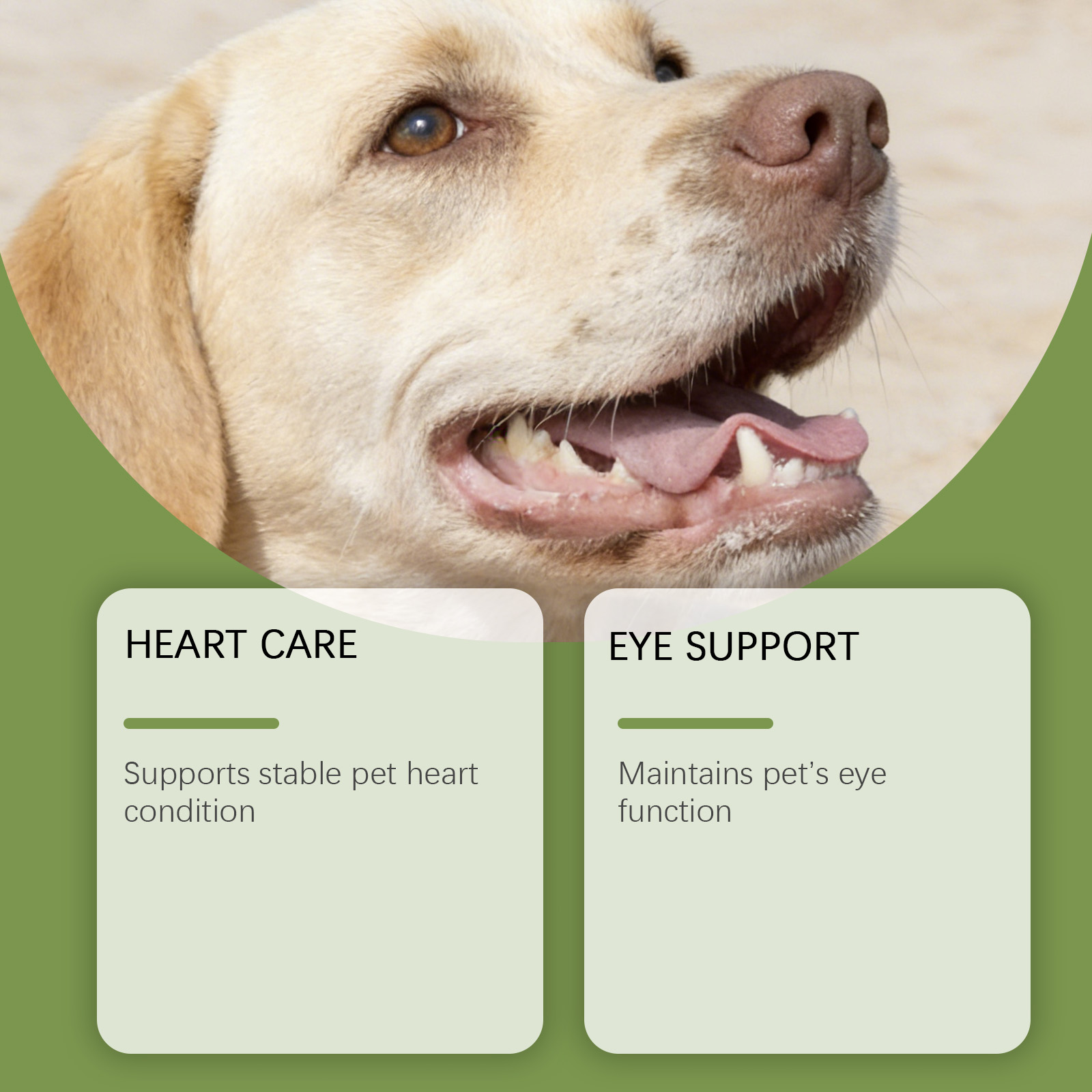 Dog Taurine Powder Easy-To-Mix - Wellness Health Nutrition บทวิจารณ์และราคา