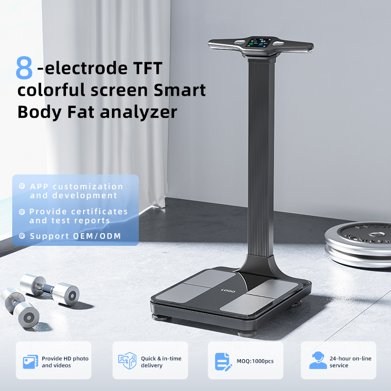 Newly LTO Smart Scale Analyzer - Digital Body Weight Scale บทวิจารณ์และราคา